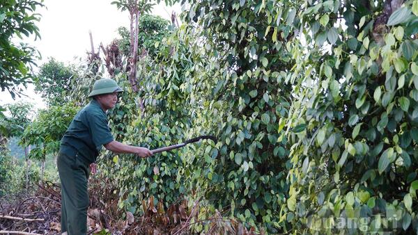 Quảng Trị: 'Thước đo' của niềm tin