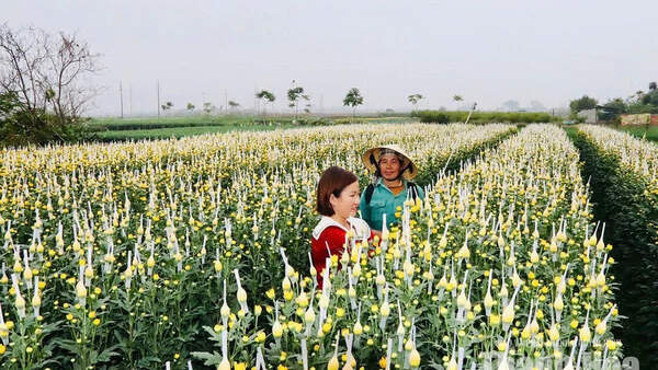 Yên Trường thi đua báo công dâng Bác