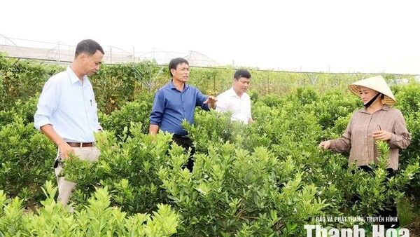 Đảng bộ xã Định Hòa học và làm theo Bác