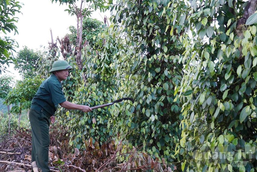 Quảng Trị: 'Thước đo' của niềm tin