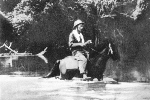 Phim tài liệu: Tuyên Quang mùa thu ấy