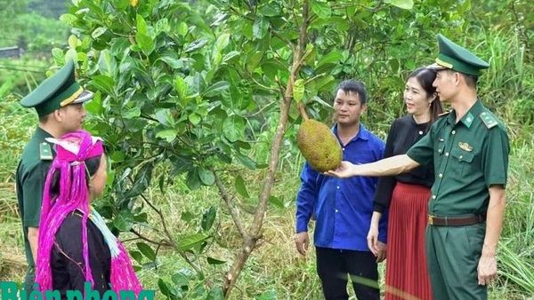 Lặng thầm nơi tuyến đầu, tỏa sáng nghĩa tình người lính