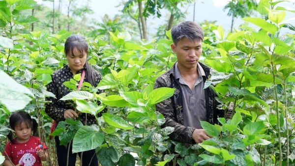 Thanh niên vùng cao học Bác vượt khó thoát nghèo