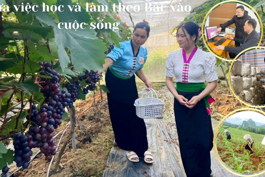 Đưa việc học và làm theo Bác vào cuộc sống