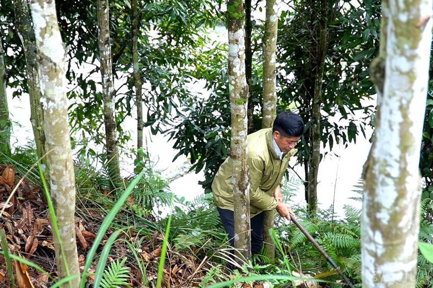 Trưởng thôn gương mẫu “nói đi đôi với làm”