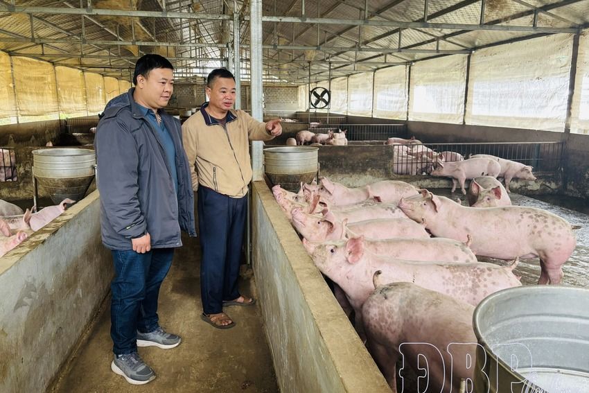 Lan tỏa tinh thần “3 dám” trong học và làm theo Bác