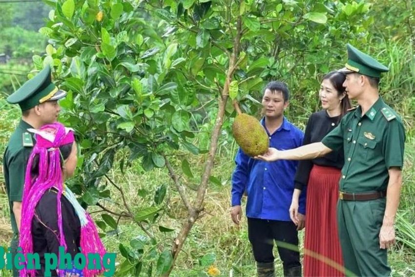 Lặng thầm nơi tuyến đầu, tỏa sáng nghĩa tình người lính