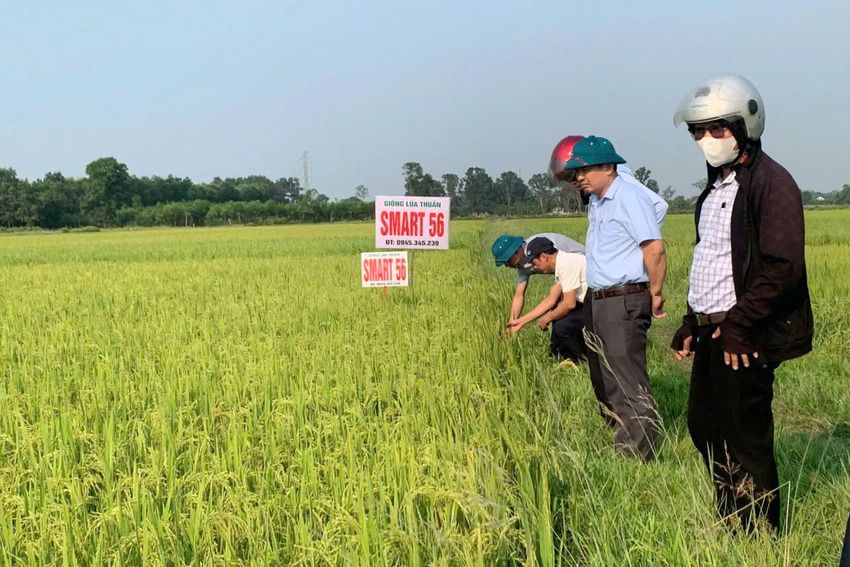 Lan tỏa những việc làm vì dân
