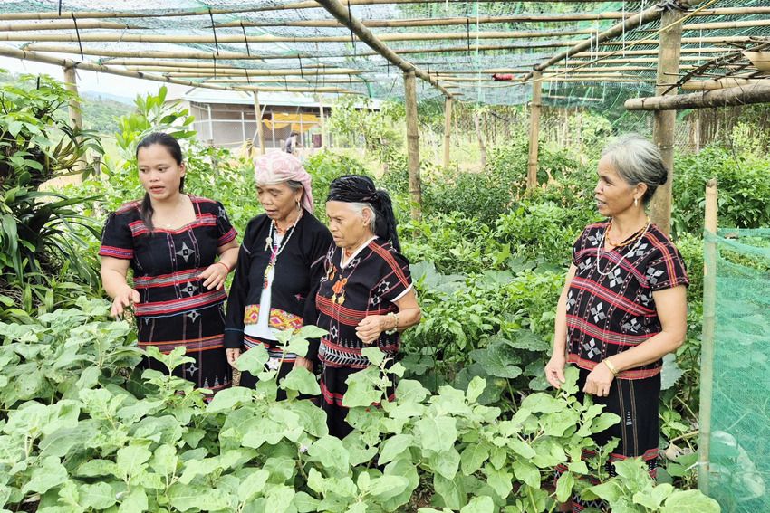 'Ngọn lửa' nơi biên cương