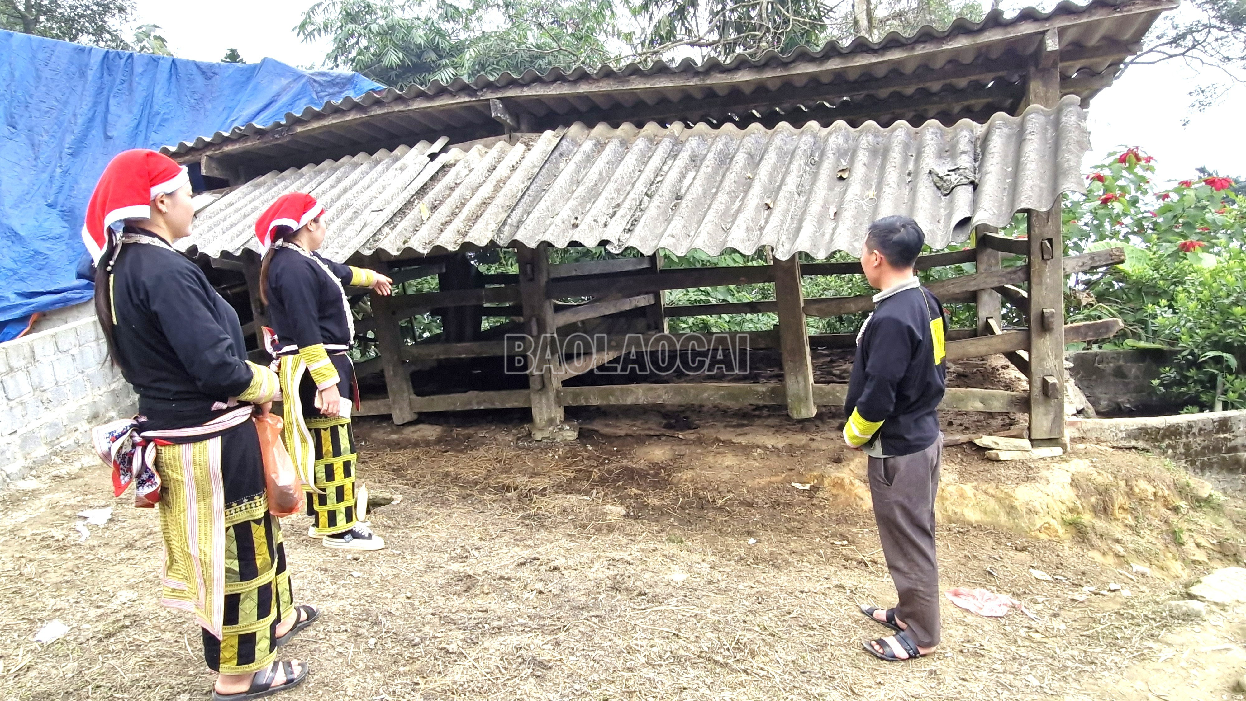 Đảng viên thôn Láo Vàng vận động các hộ dân di chuyển chuồng nhốt gia súc ra xa nhà, giữ vệ sinh môi trường để phát triển du lịch. baolaocai-c_7.jpg