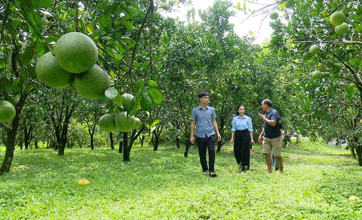 Bí thư Đảng ủy xã Minh Quang Ma Văn Khắp thăm, kiểm tra một số mô hình phát triển kinh tế trên địa bàn xã.