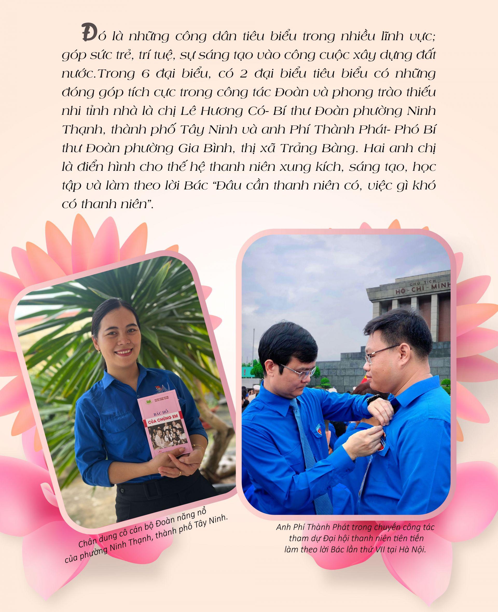 Những bông hoa trong vườn Bác