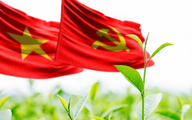 Ảnh minh họa: Quang Huy